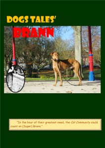 (Super) Brann, a handsome greyhound who protects his Cat friends.