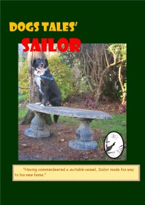 Sailor, a young Collie who breezed in one day of his own accord.